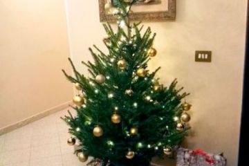 Natale al B&B Domus Cicerone